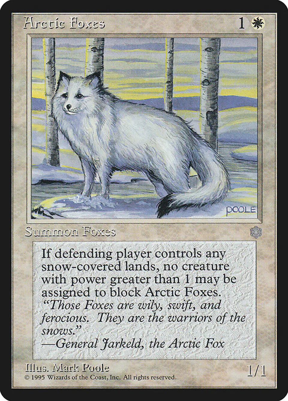 Arctic Foxes 1