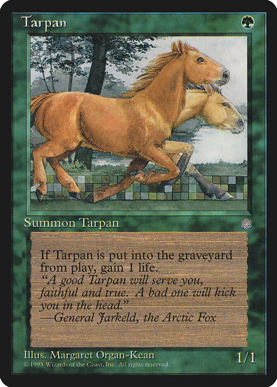 Tarpan 1