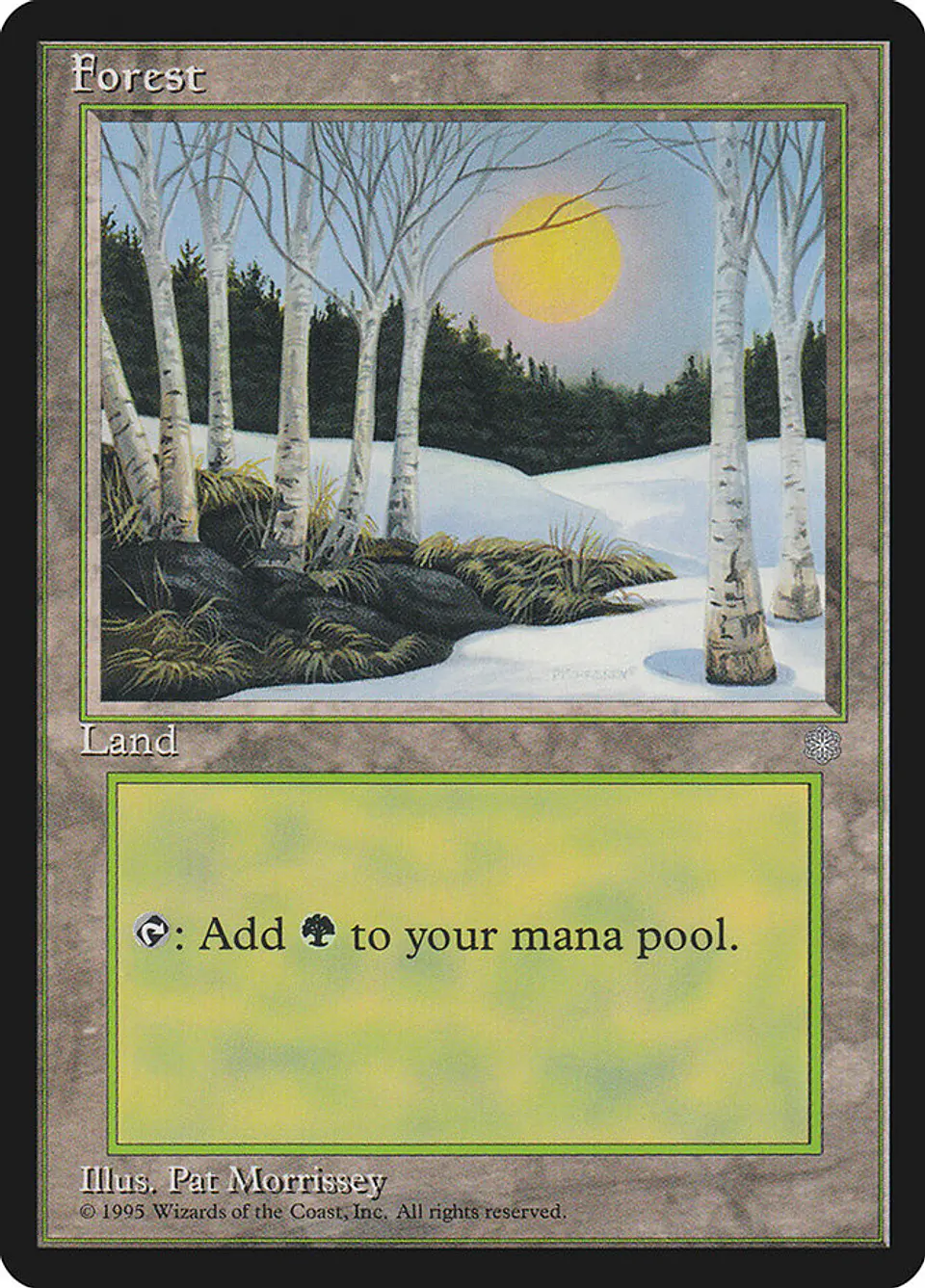 Forest 1