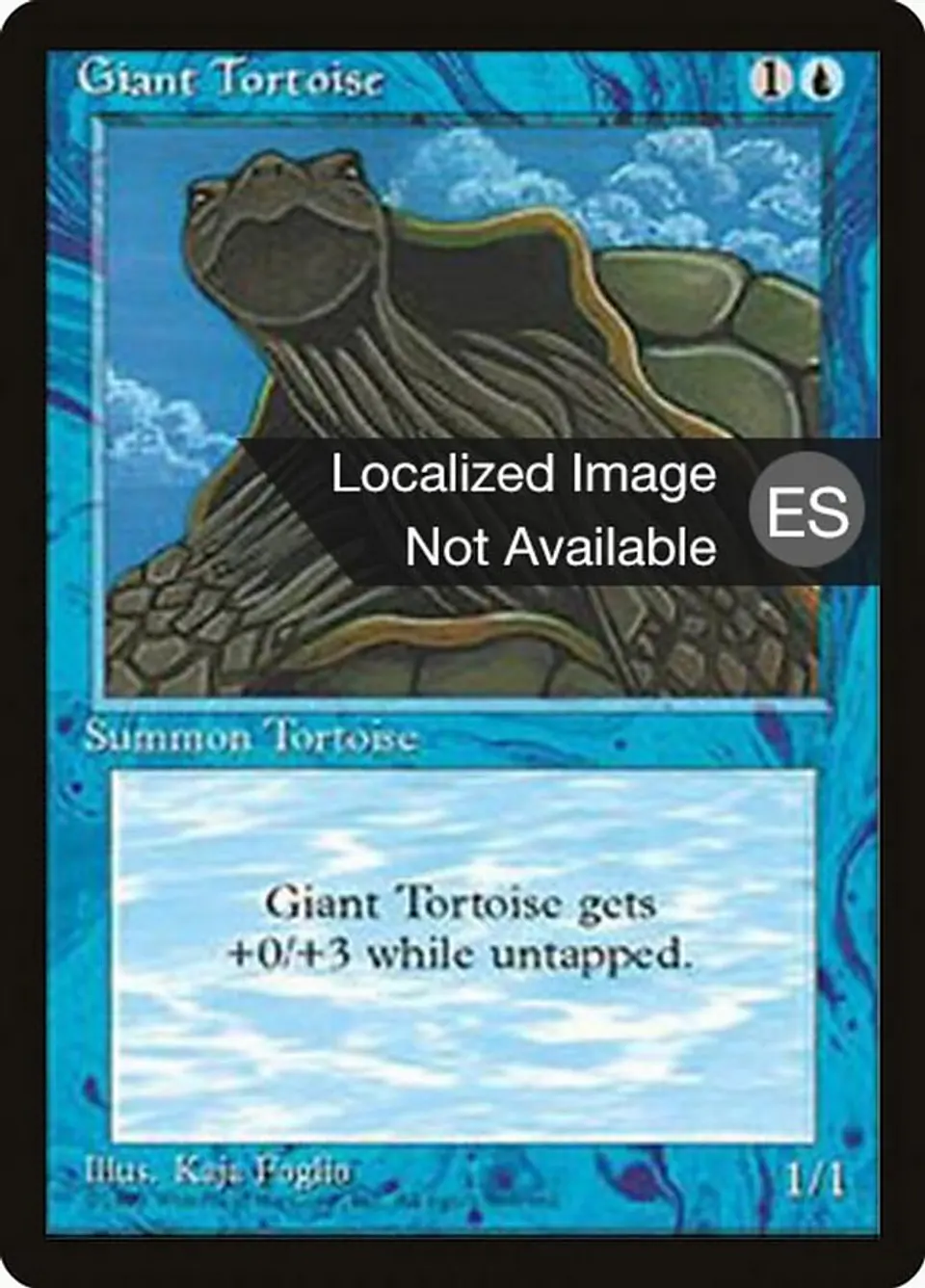 Giant Tortoise 1