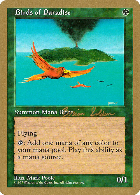 Birds of Paradise (Retro Frame)