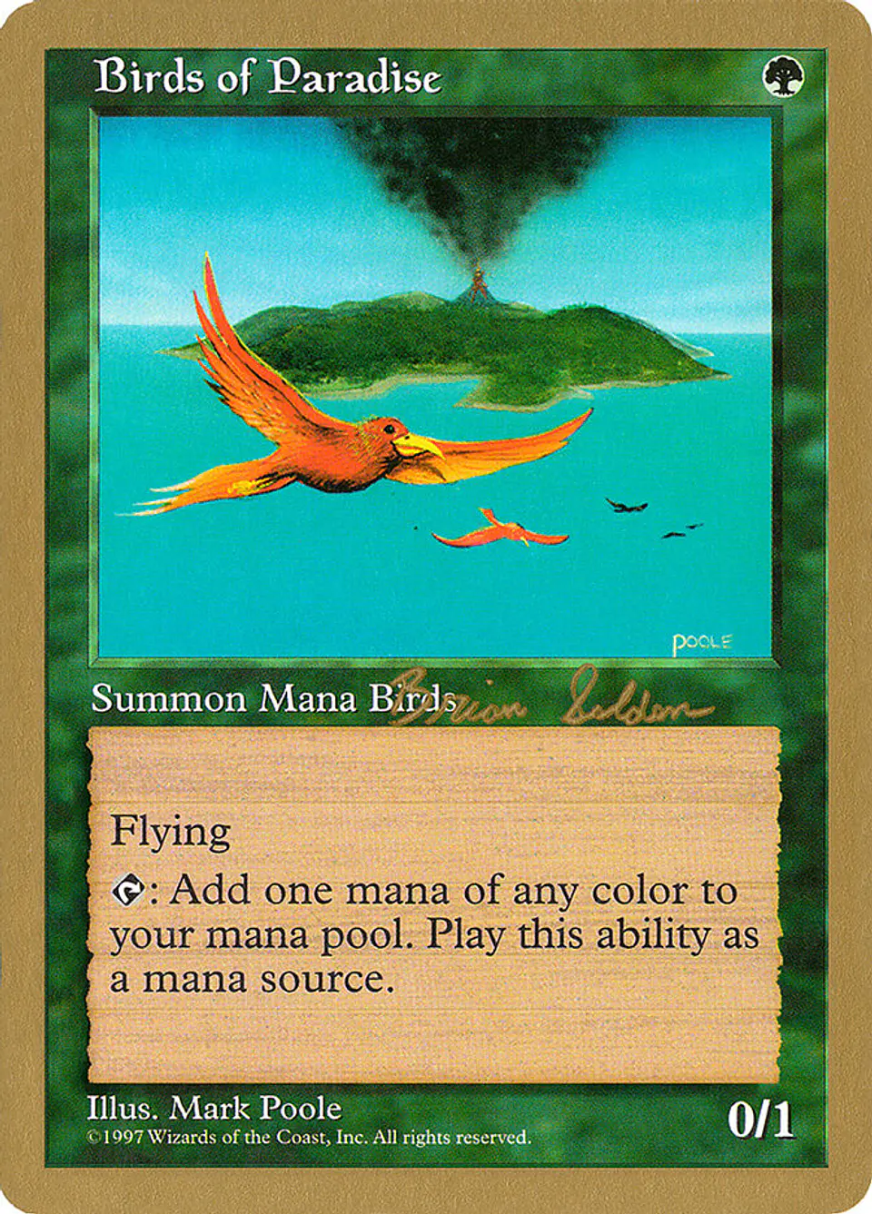 Birds of Paradise (Retro Frame) 1