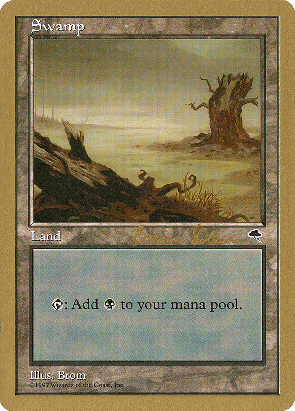 Swamp (Retro Frame) 1