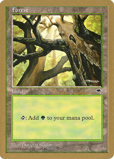 Forest (Retro Frame)