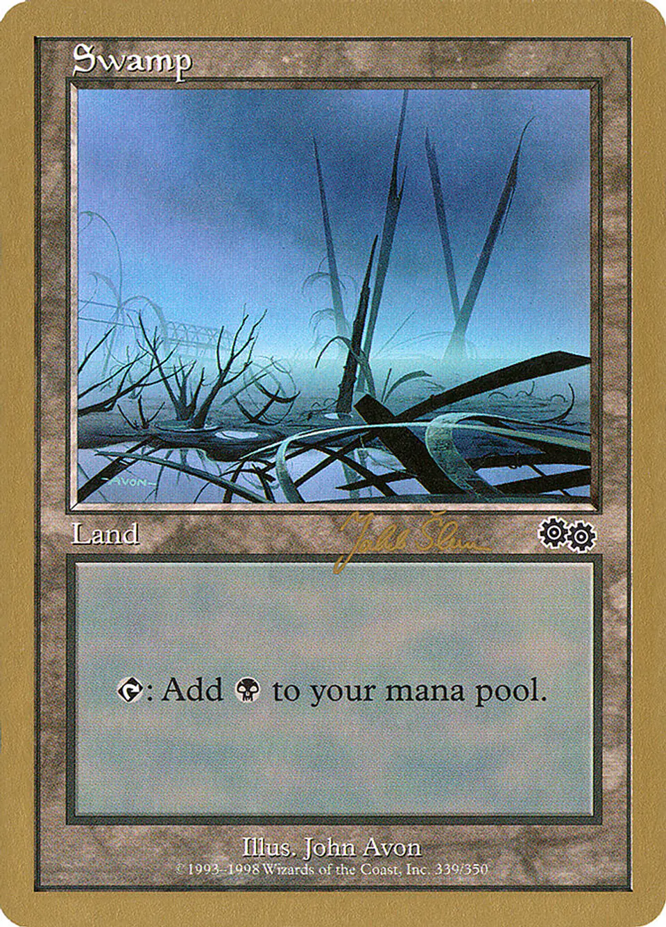 Swamp (Retro Frame) 1