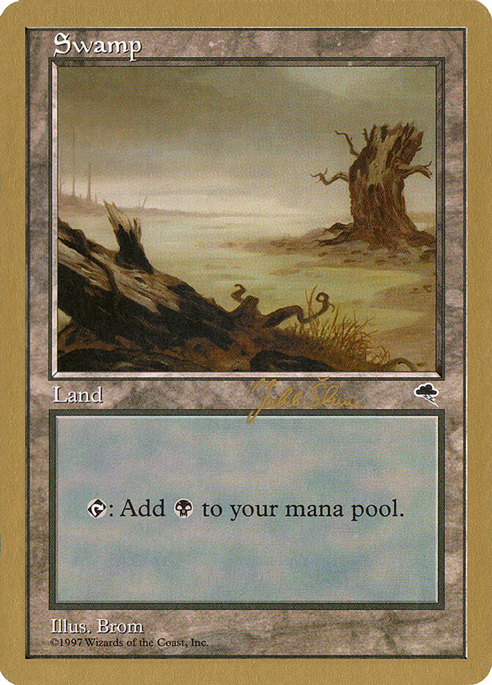 Swamp (Retro Frame) 1