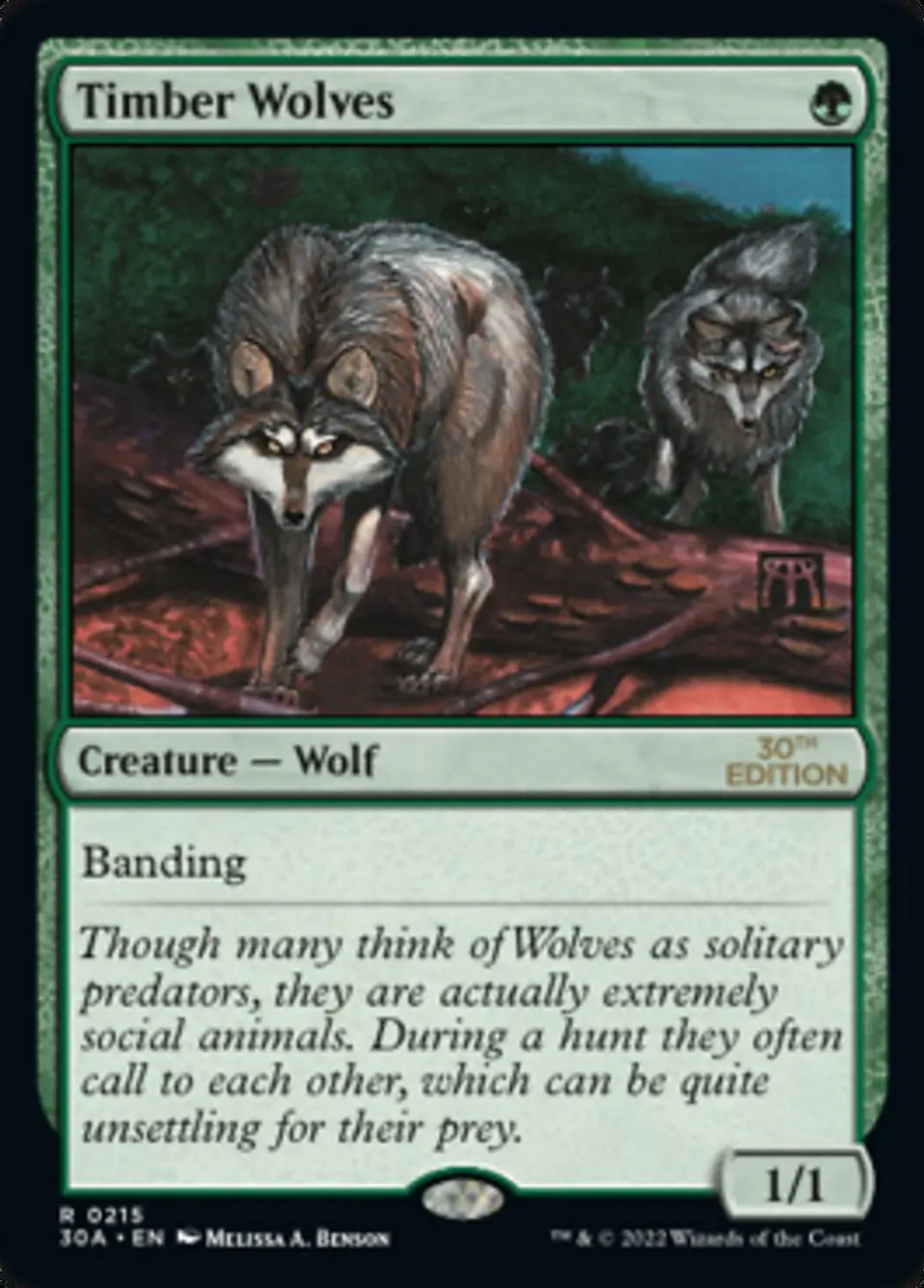 Timber Wolves 1