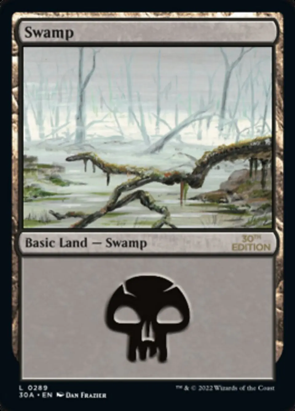 Swamp 1