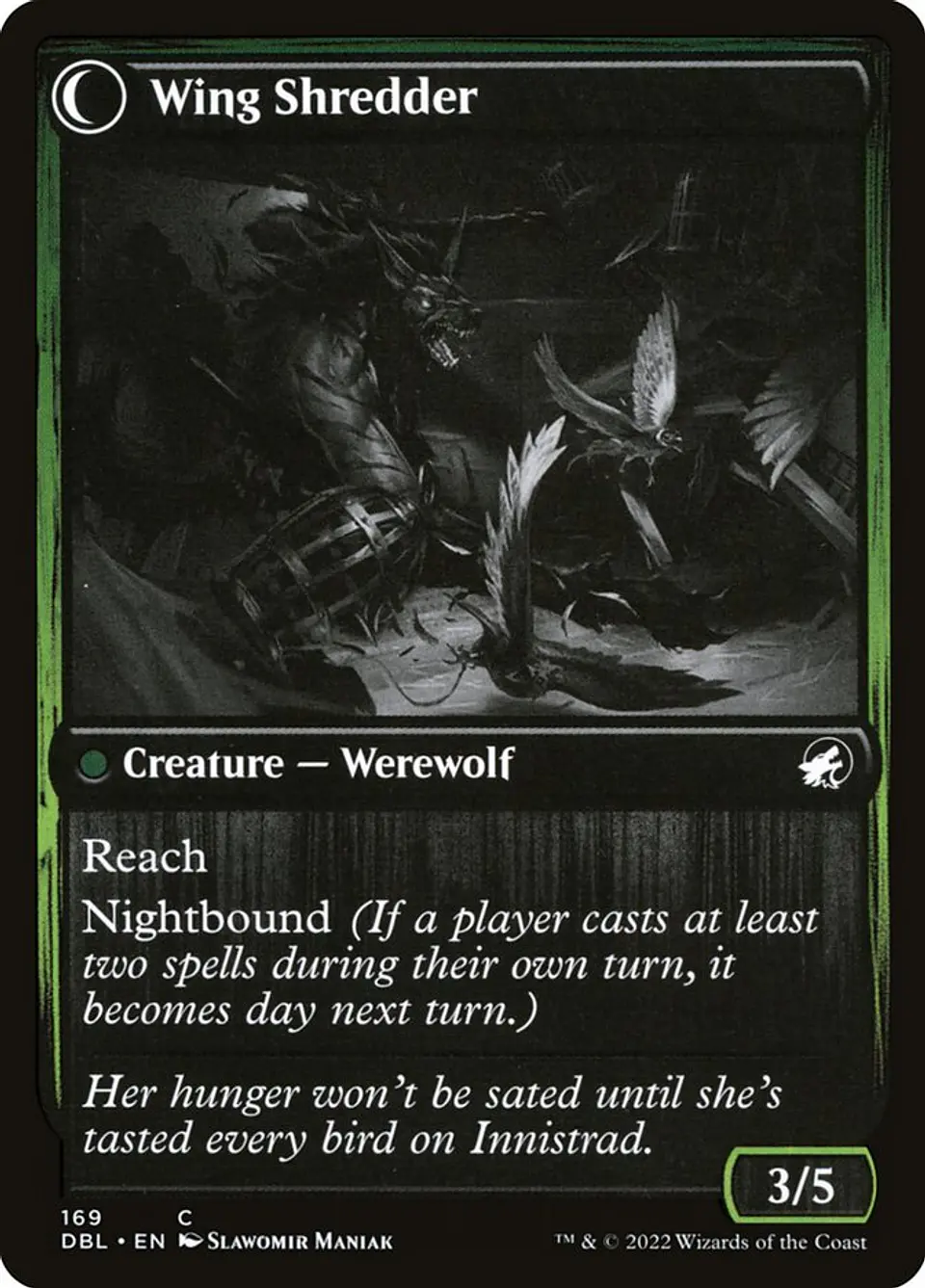 Bird Admirer // Wing Shredder 2