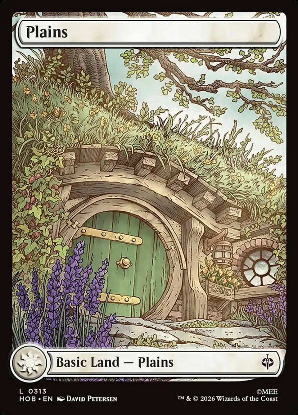 Plains (Full Art) 1