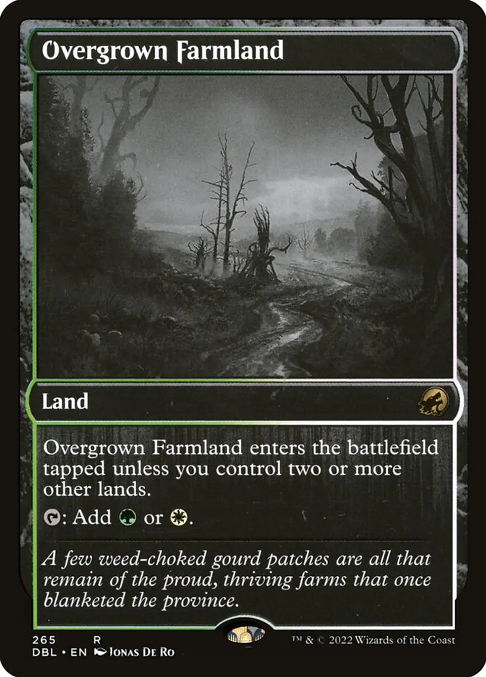 Overgrown Farmland 1