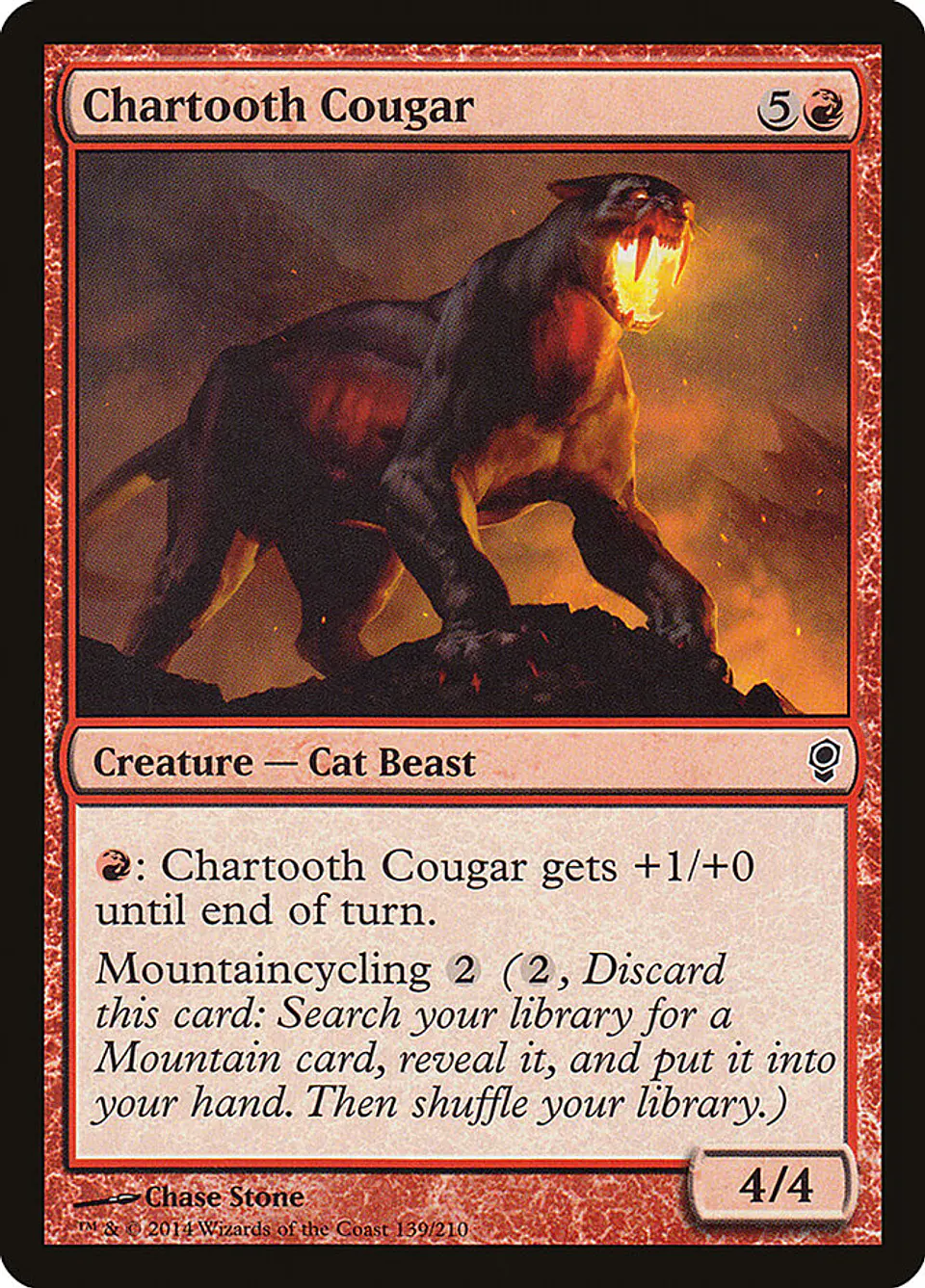 Chartooth Cougar 1
