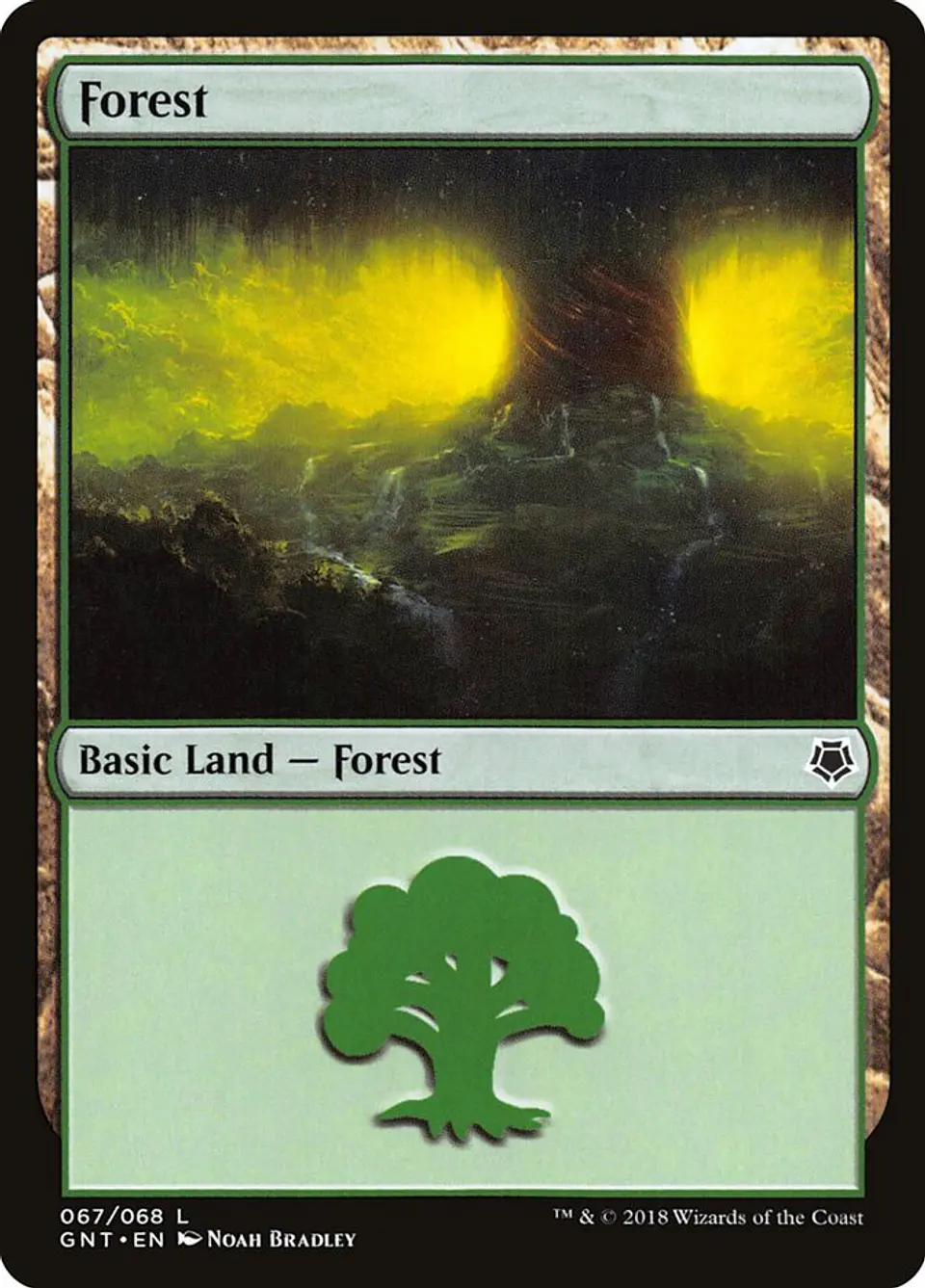 Forest 1