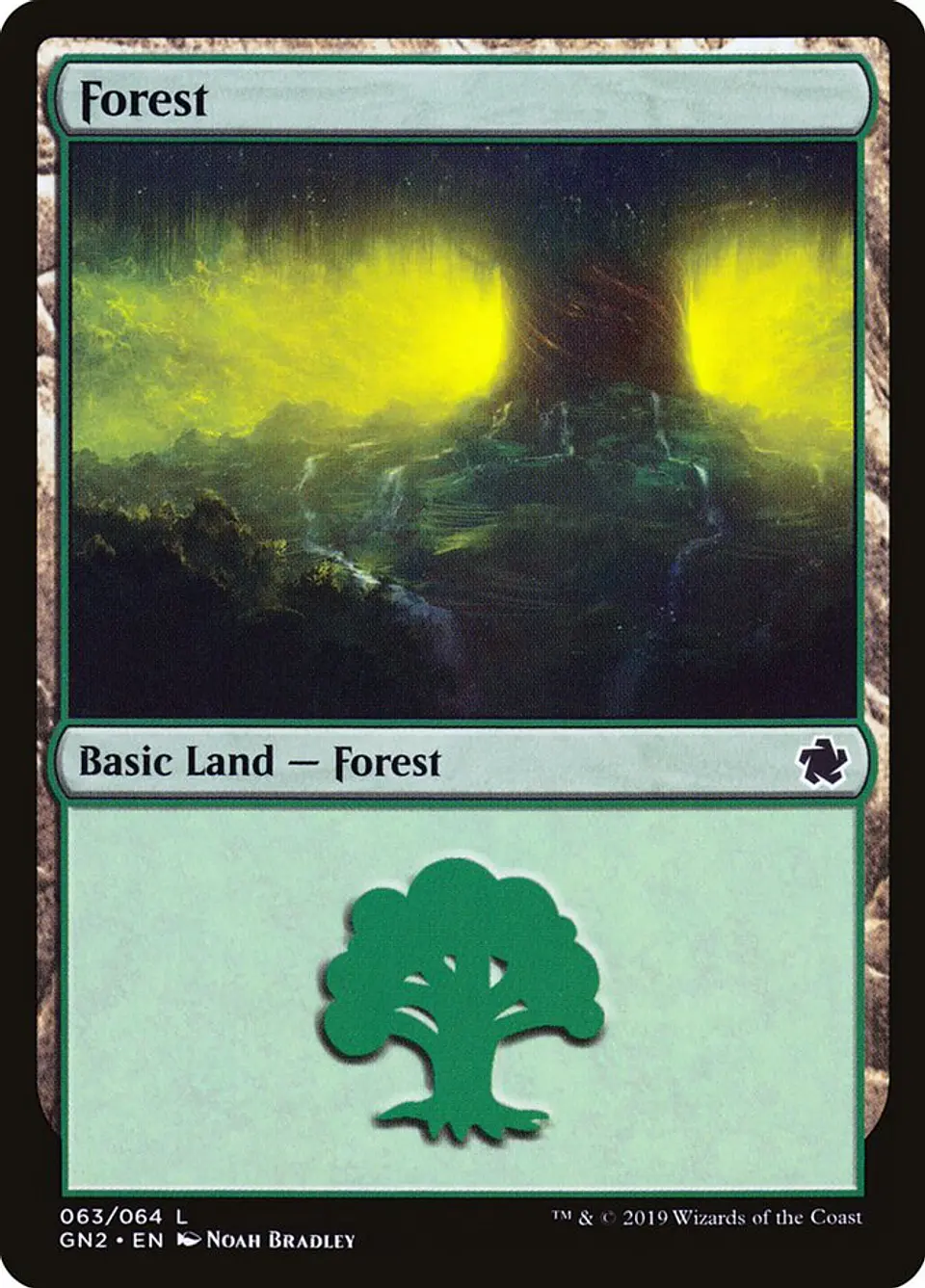 Forest 1