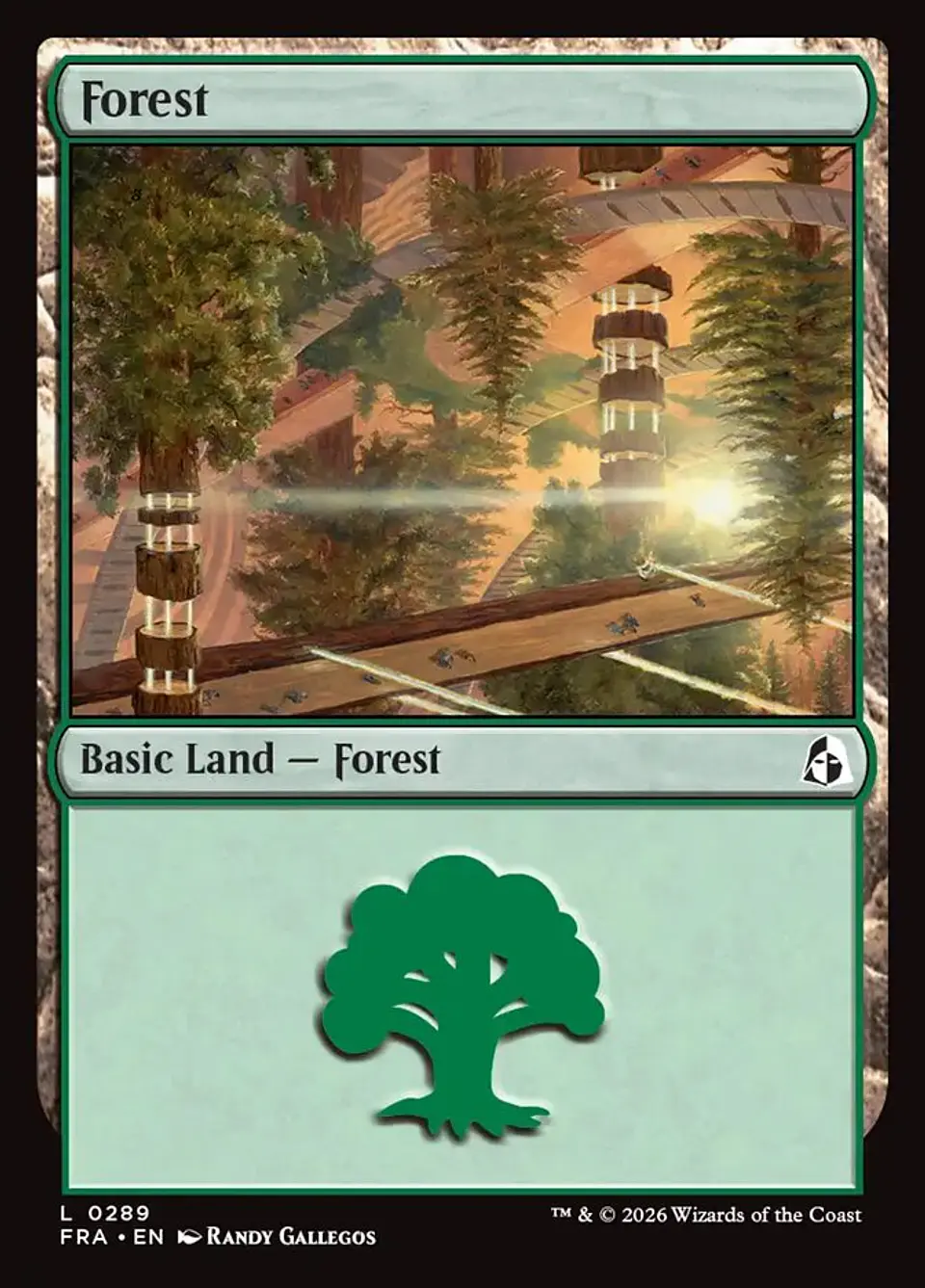 Forest 1