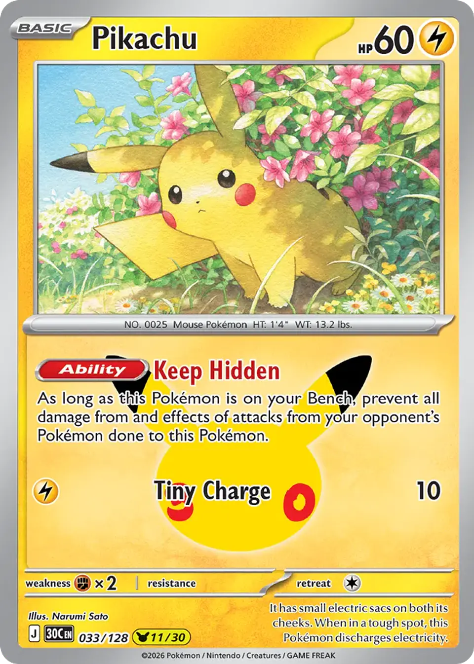 Pikachu 1