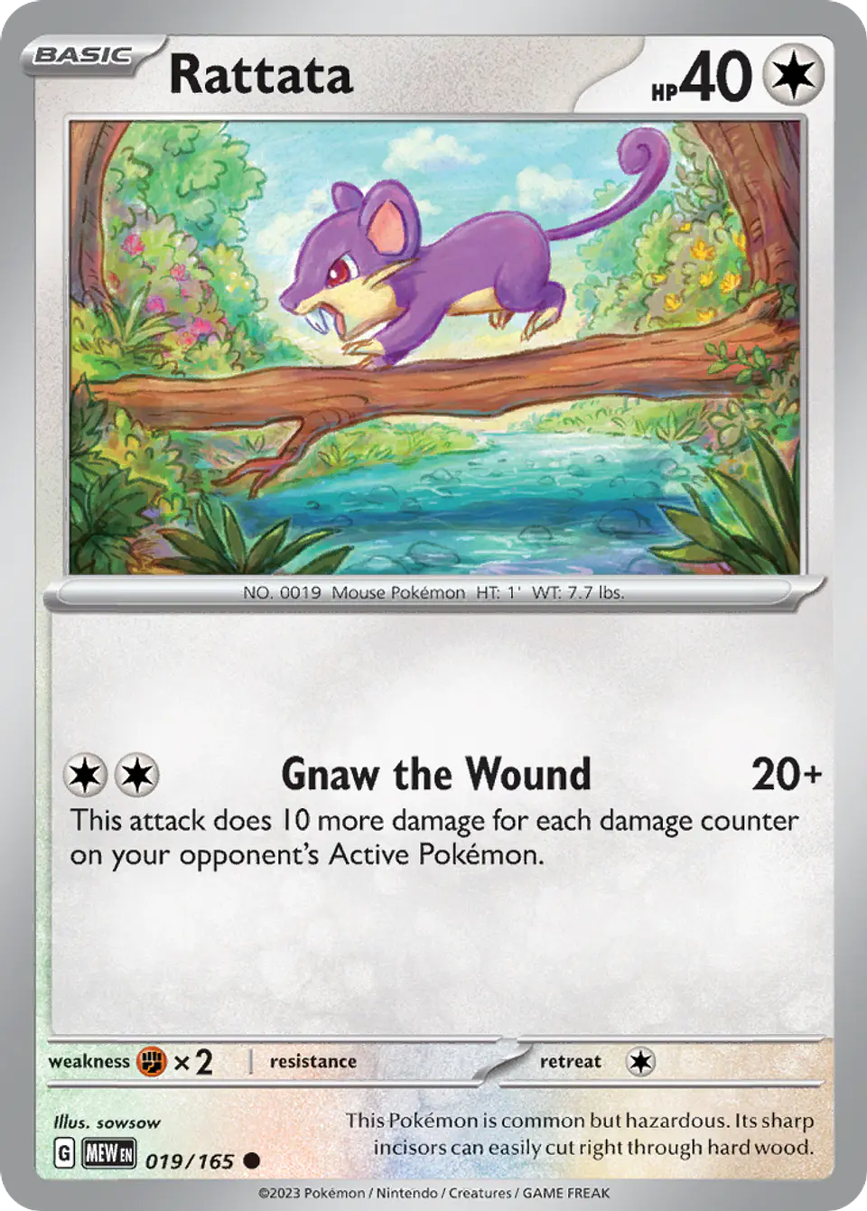 Rattata 1