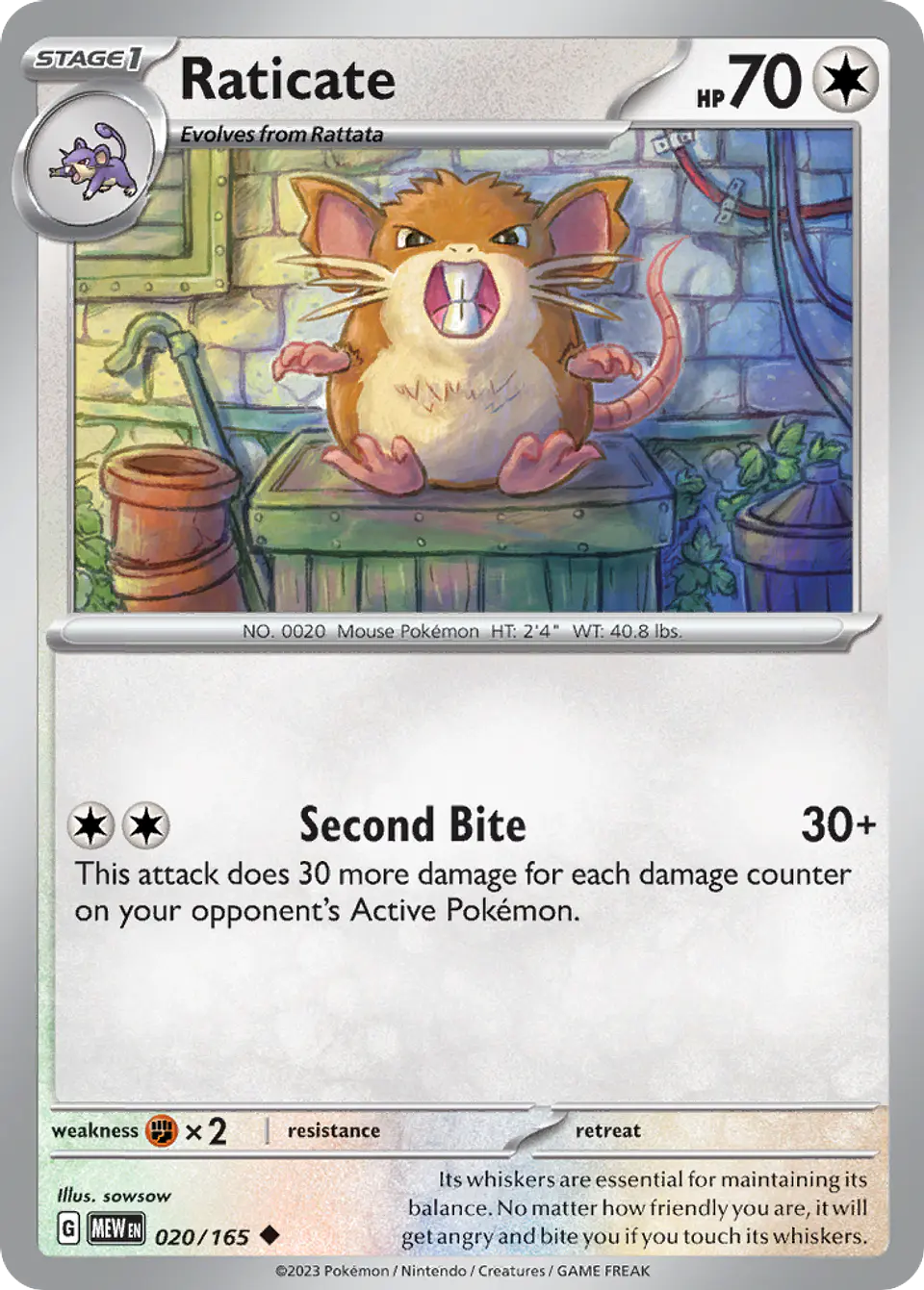 Raticate 1