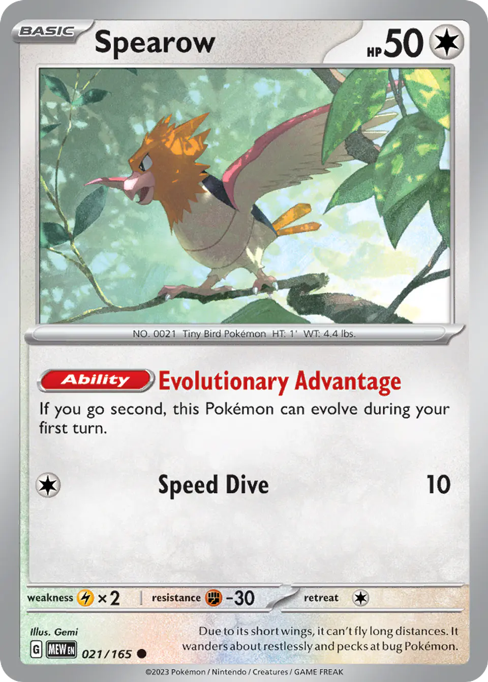 Spearow 1