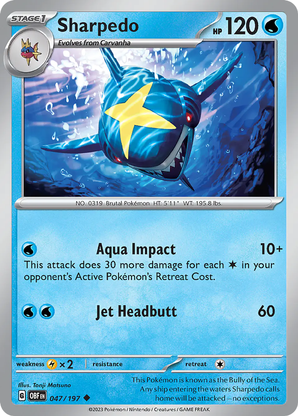 Sharpedo 1