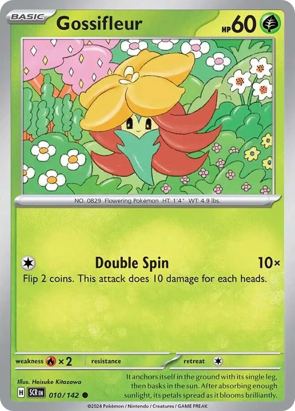 Gossifleur 1