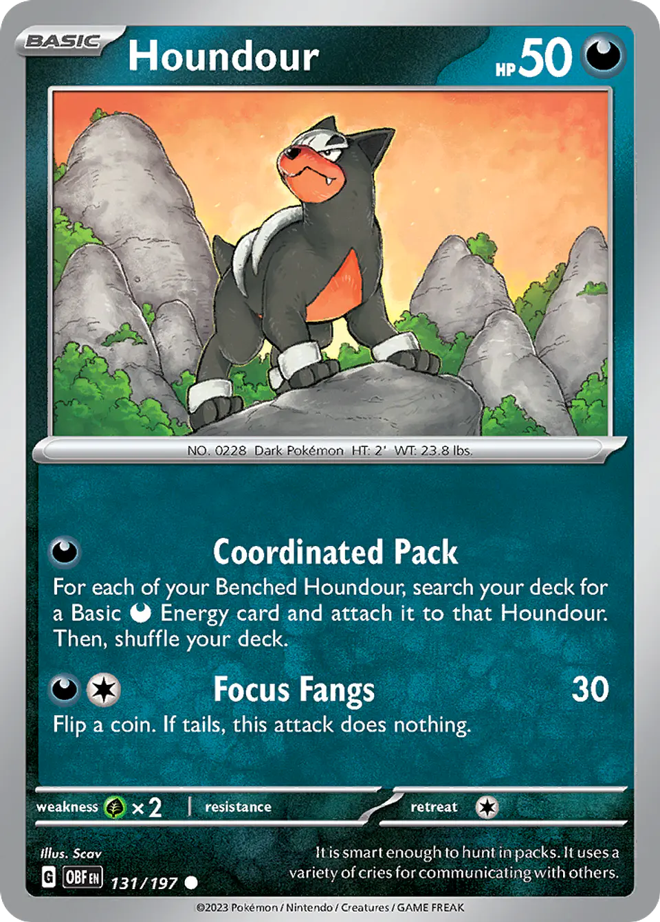 Houndour 1