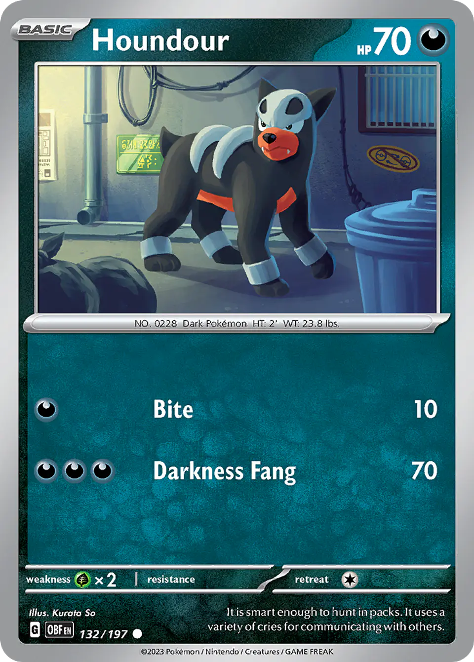 Houndour 1