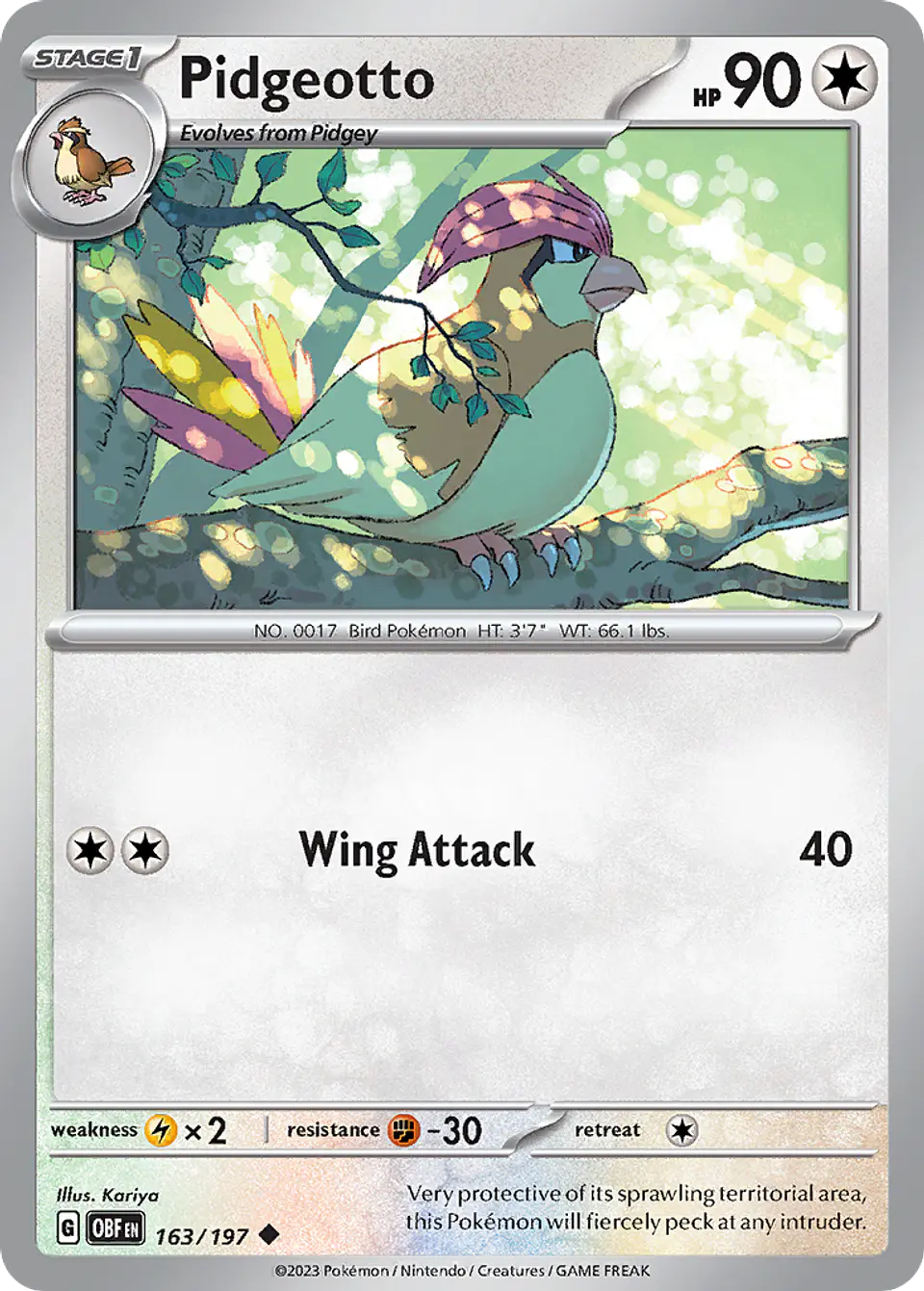 Pidgeotto 1