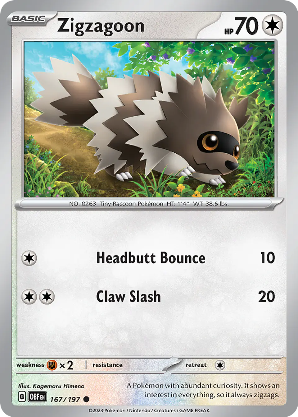 Zigzagoon 1