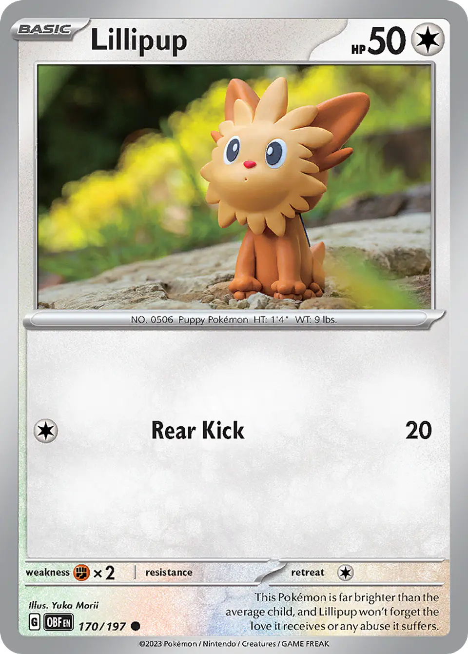 Lillipup 1