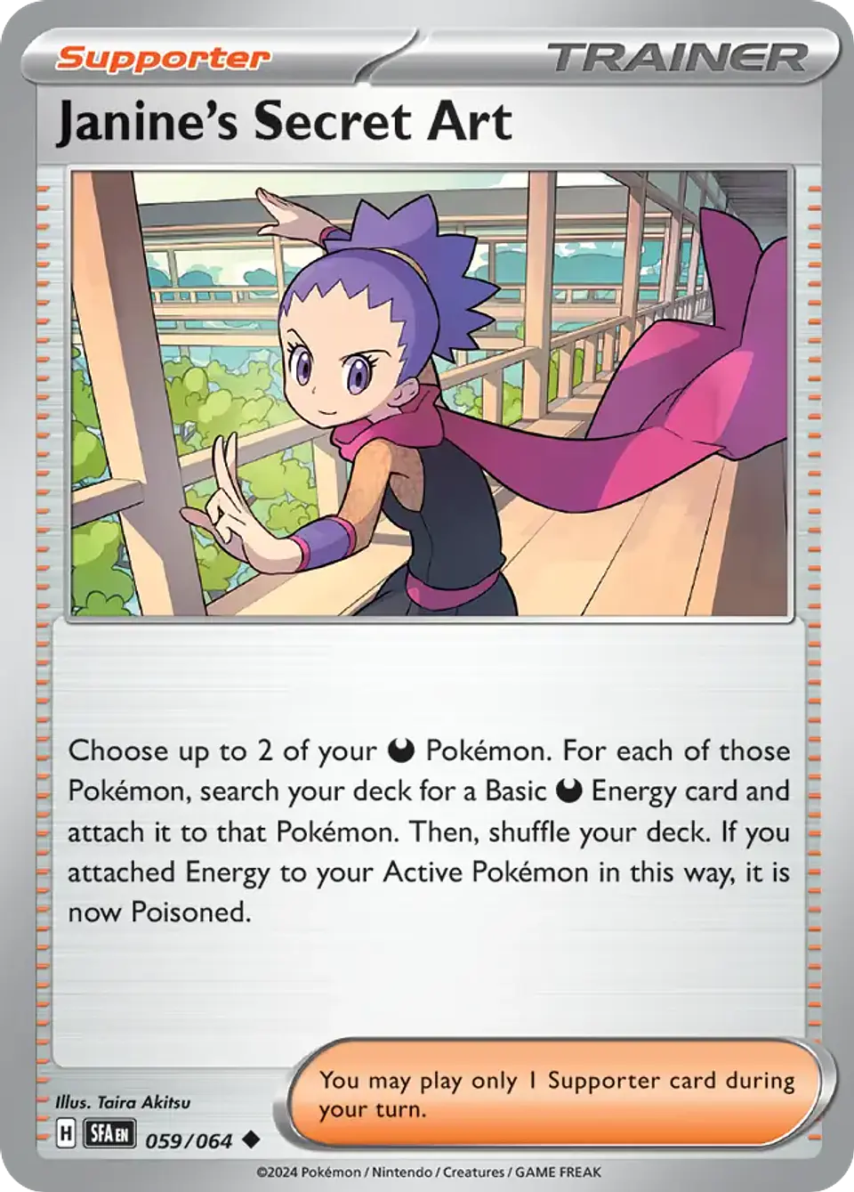 Janine's Secret Art 1