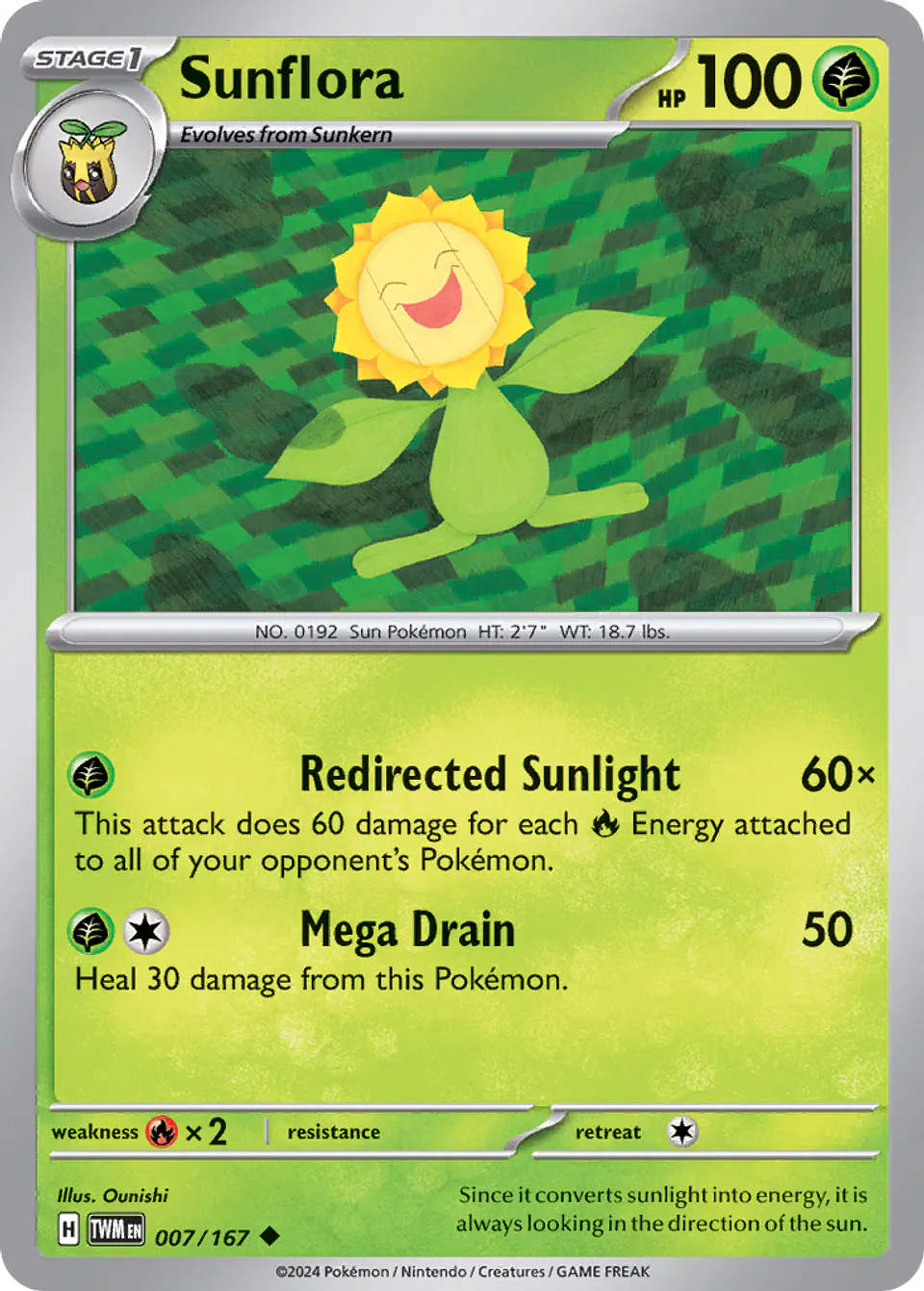 Sunflora 1