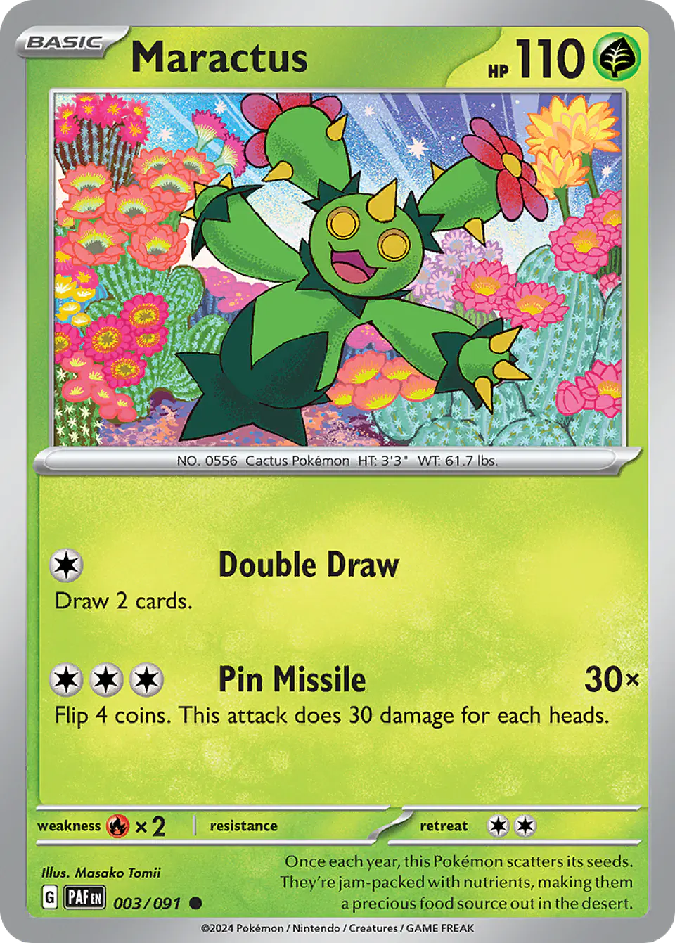 Maractus 1