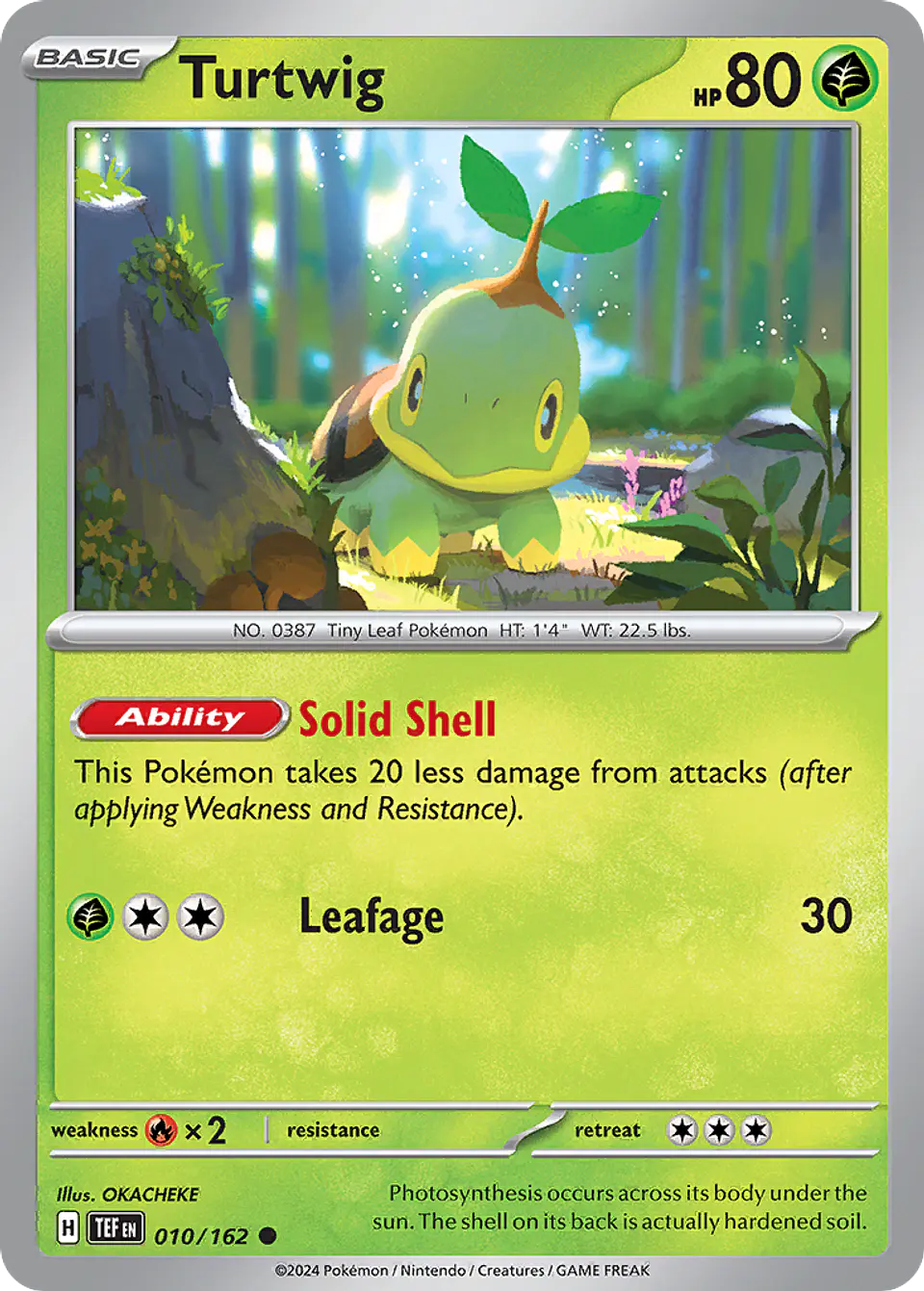 Turtwig 1