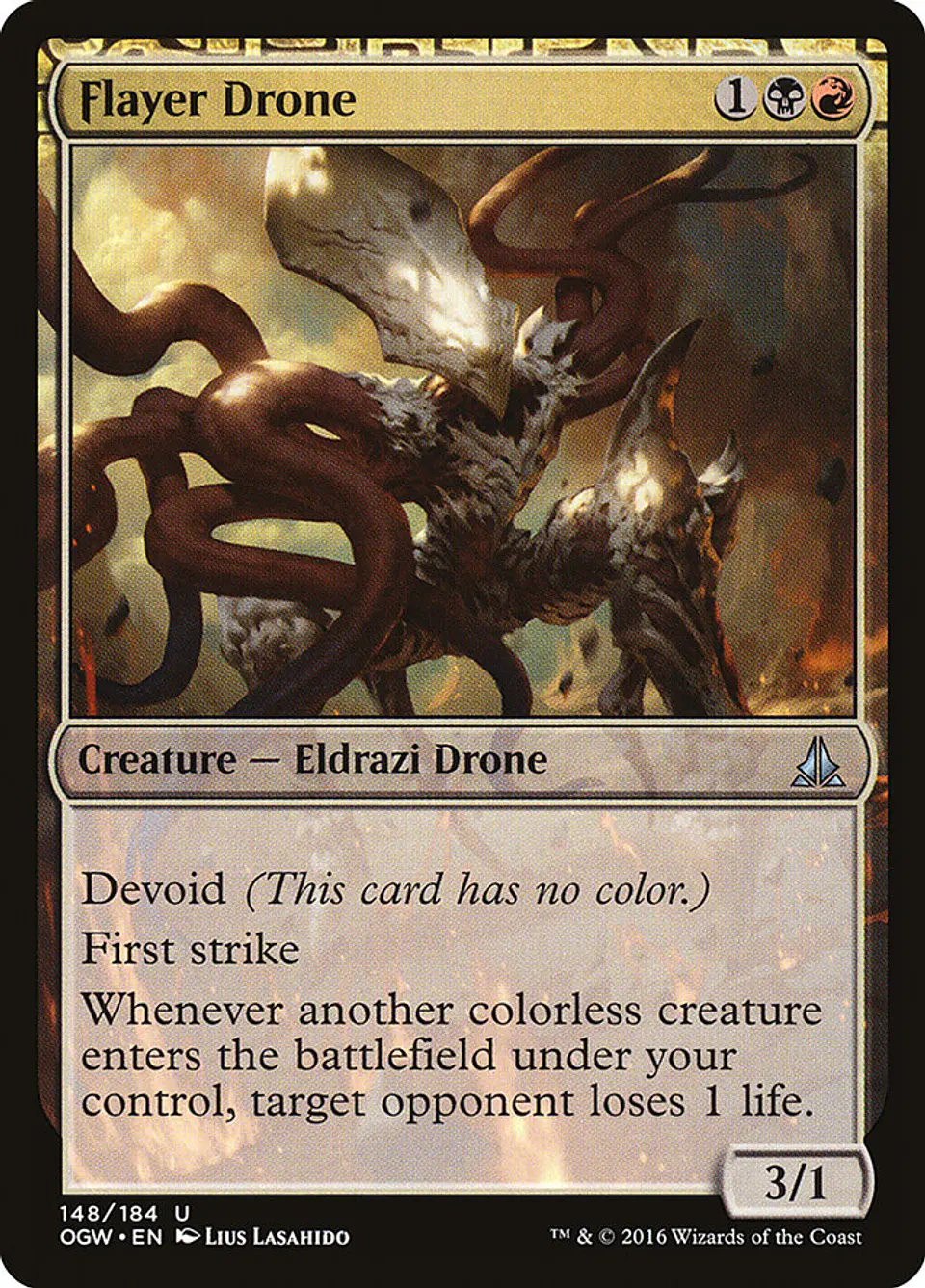 Flayer Drone 1