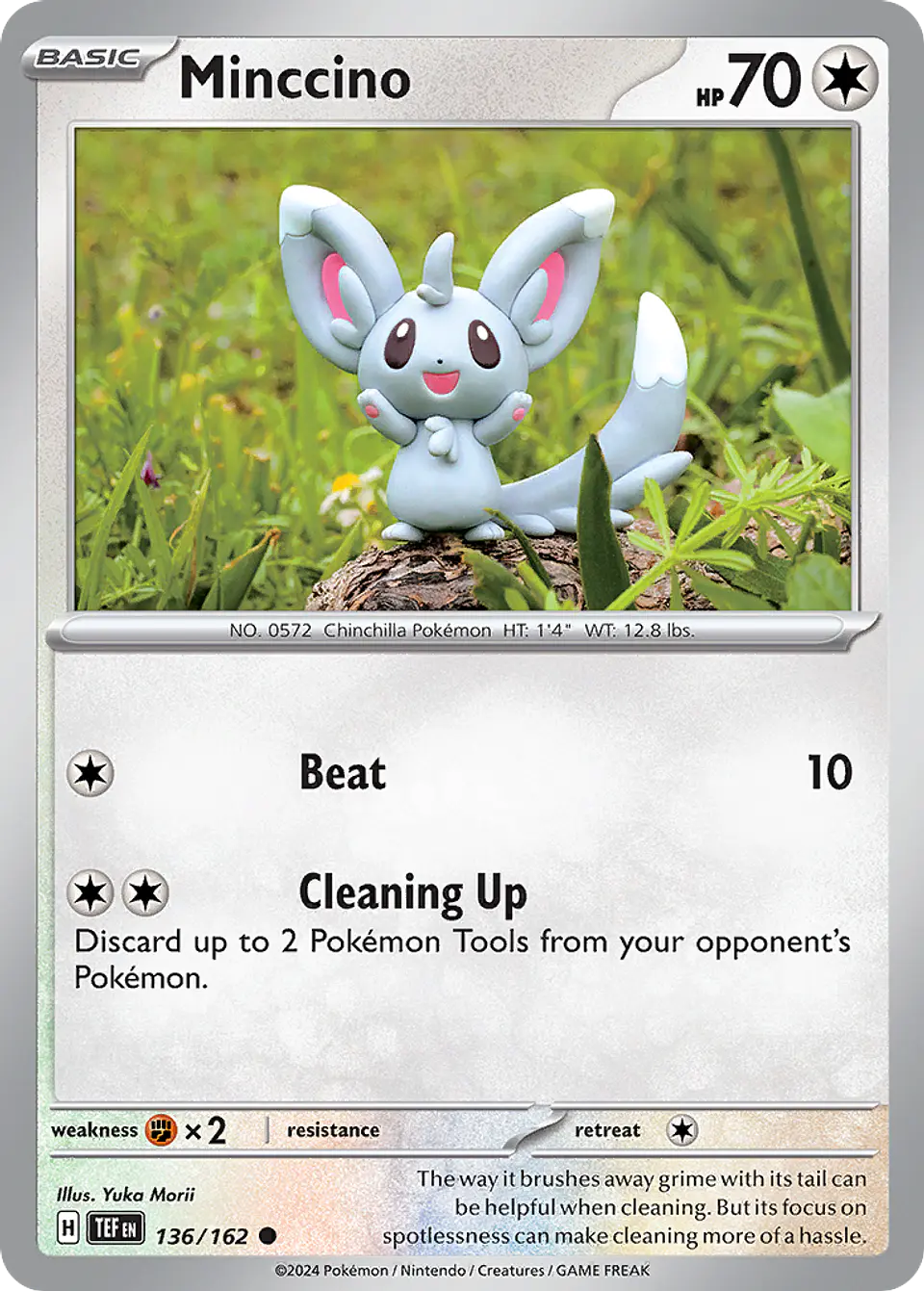 Minccino 1