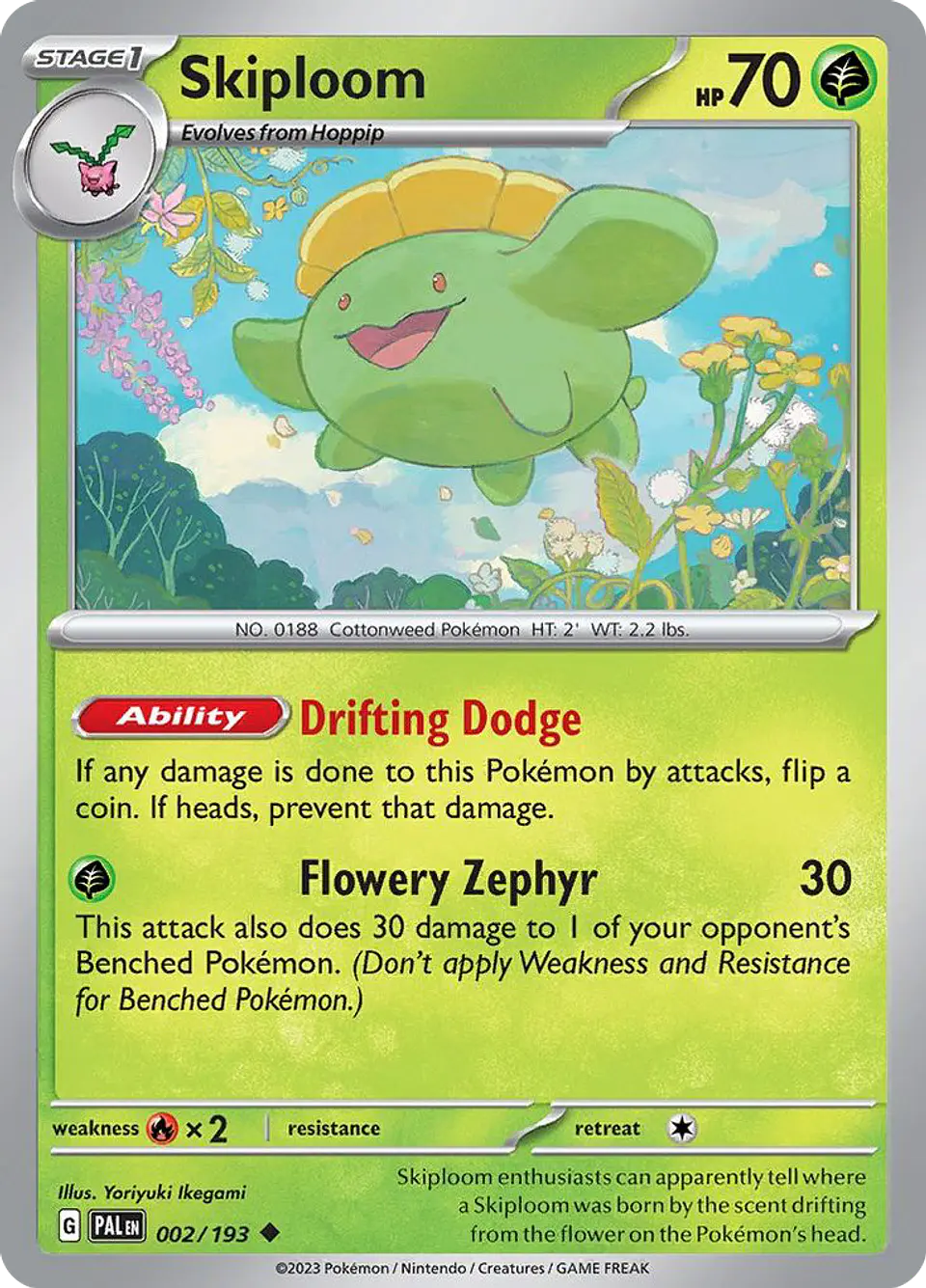 Skiploom 1