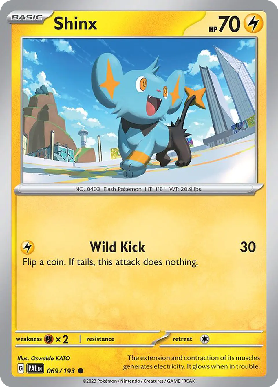Shinx 1