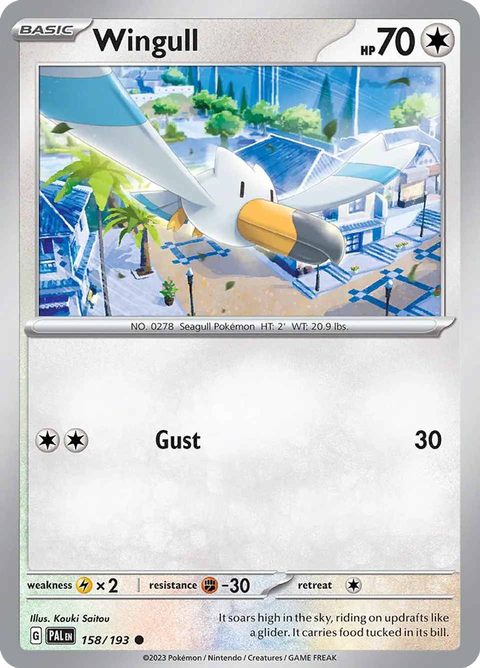 Wingull 1