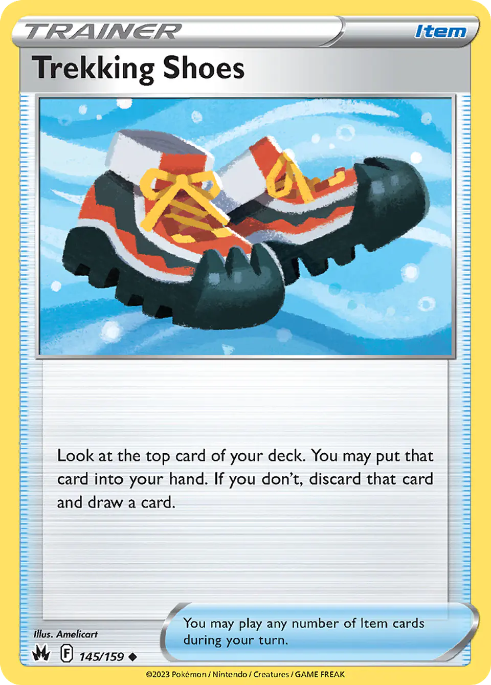 Trekking Shoes 1