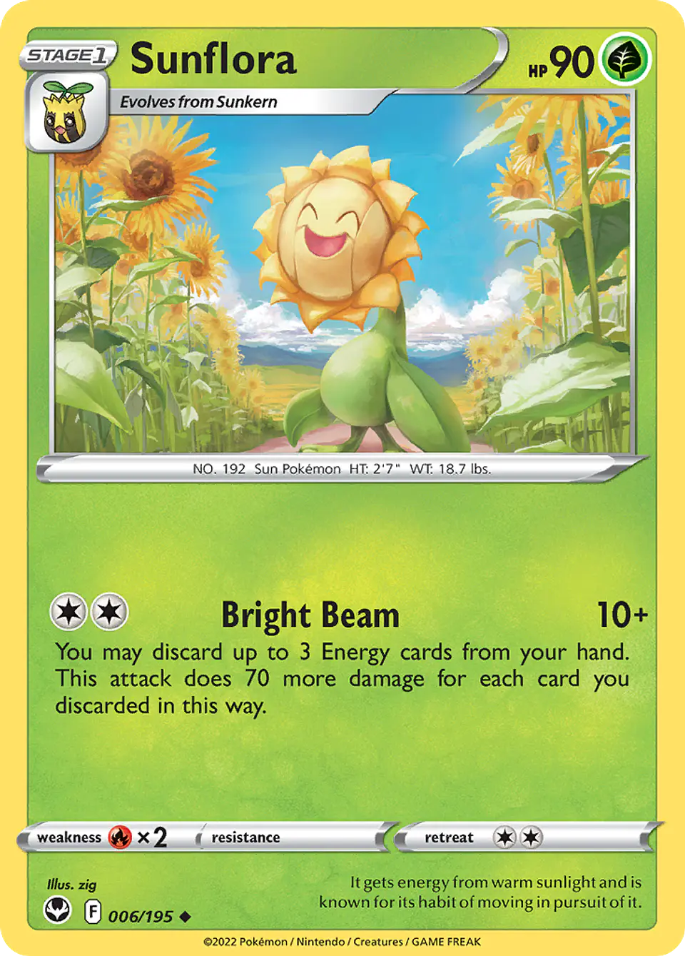 Sunflora 1