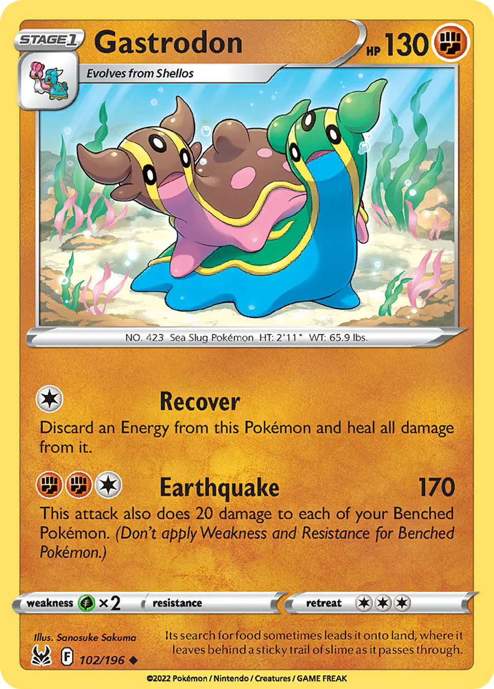 Gastrodon 1