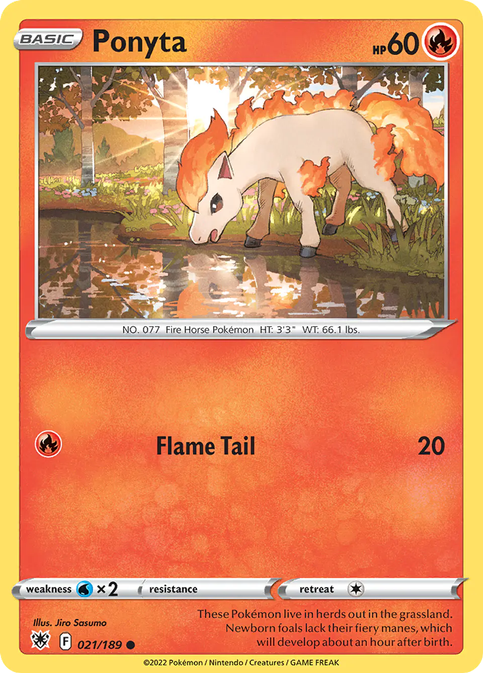 Ponyta 1