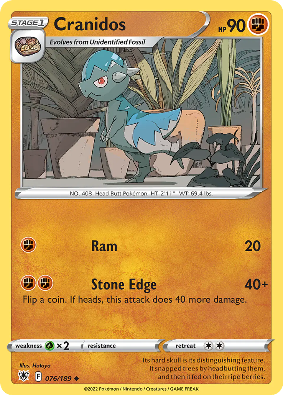 Cranidos 1