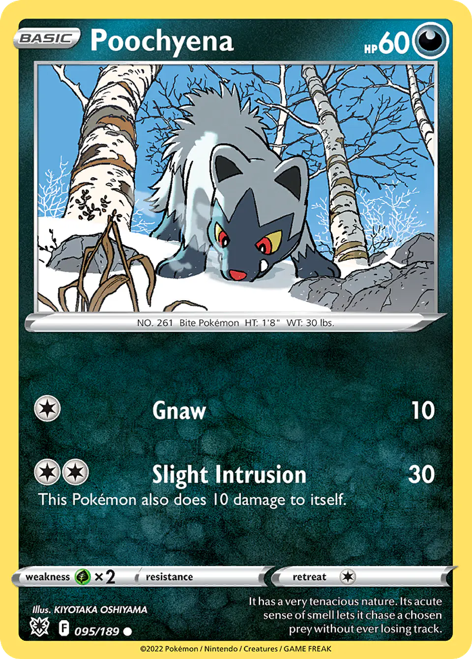 Poochyena 1