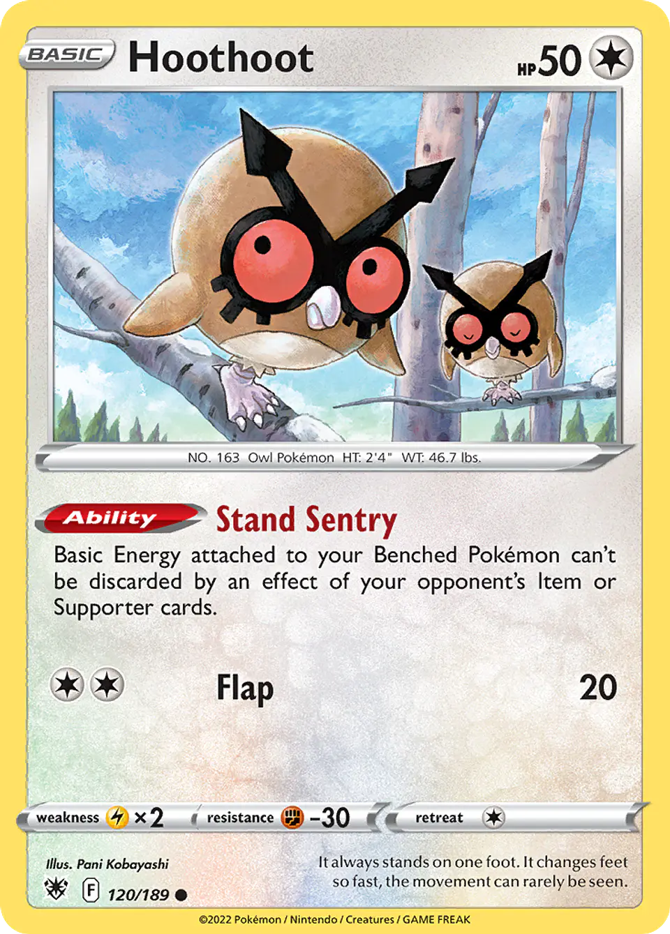 Hoothoot 1
