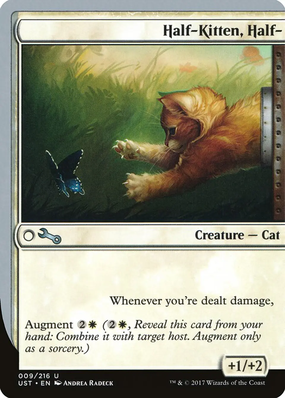 Half-Kitten, Half- 1