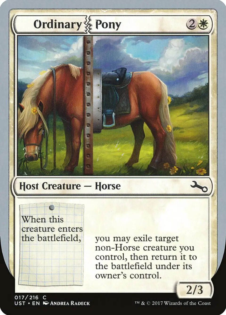 Ordinary Pony 1