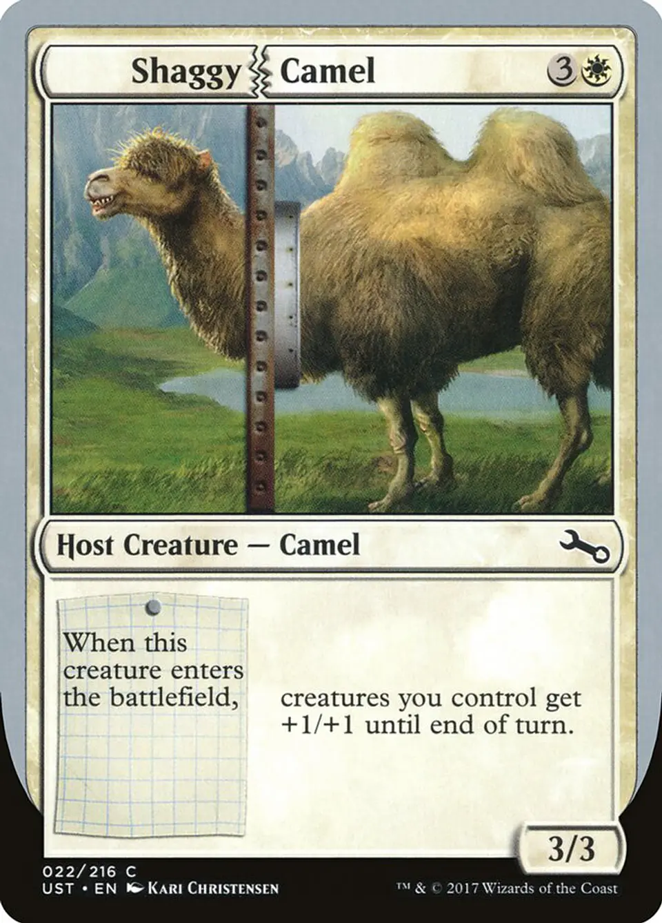 Shaggy Camel 1