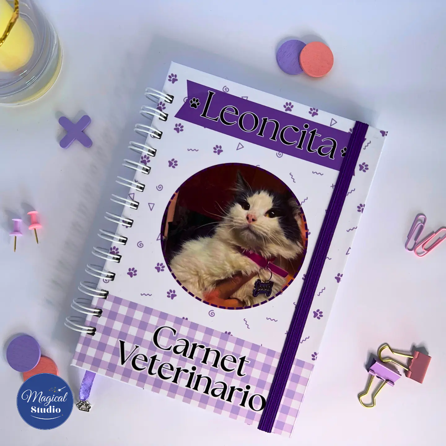 Carnet Veterinario Mascota 2